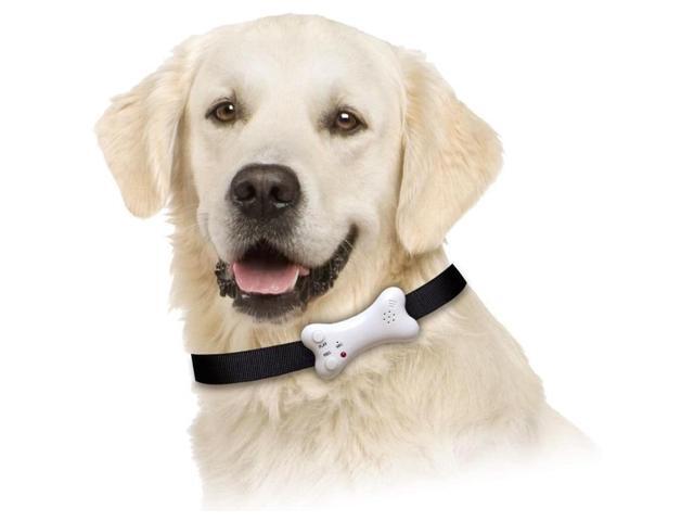 Buster's Bone Voice Recording Pet I. D.