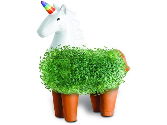 Chia Pet Planter - Unicorn