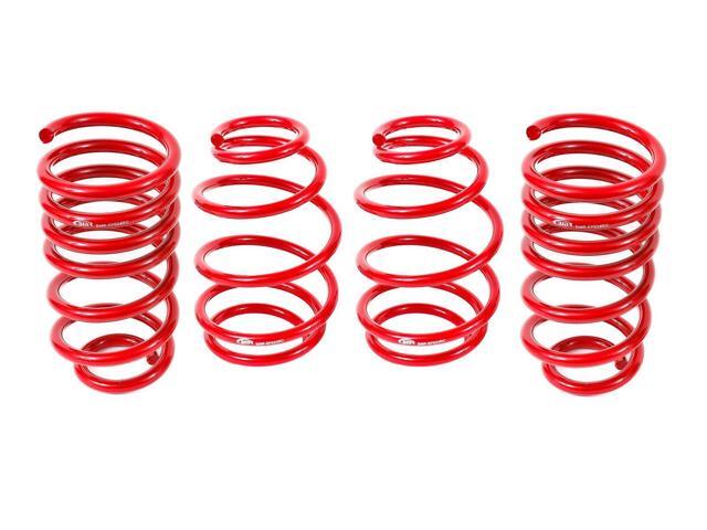 LOWERING SPRING KIT