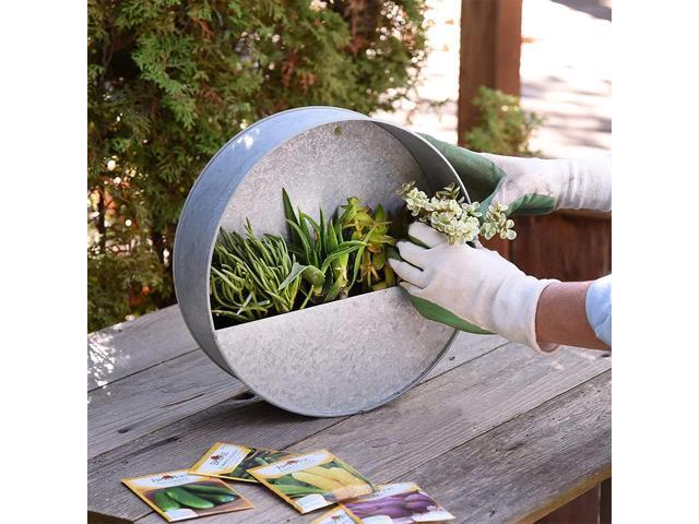 Modern Home Round Living Wall Mounted Galvanized Steel/Zinc Succulent/Herb Planter (Aged Zinc, Medium)