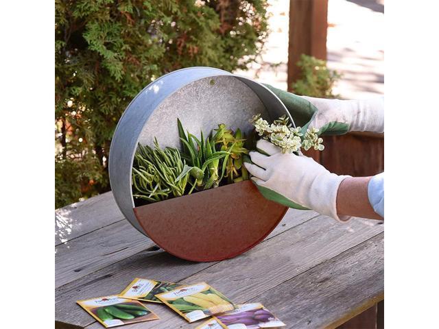 Modern Home Round Living Wall Mounted Galvanized Steel/Zinc Succulent/Herb Planter (Rust Zinc, Small)
