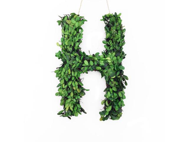 Modern Home 12' Real Preserved Boxwood Monogram Wreath Letters - H