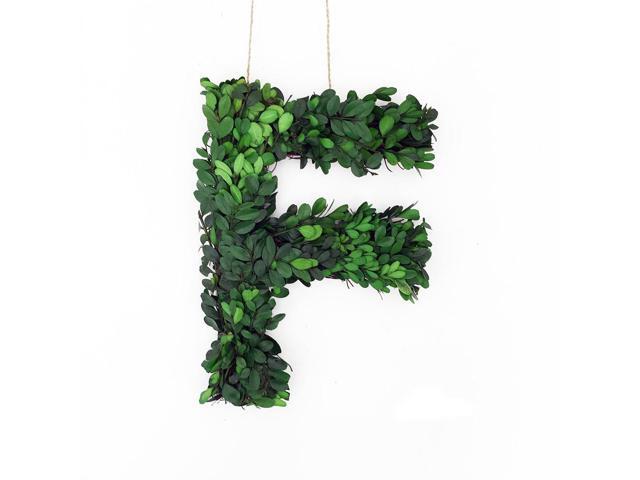 Modern Home 12' Real Preserved Boxwood Monogram Wreath Letters - F