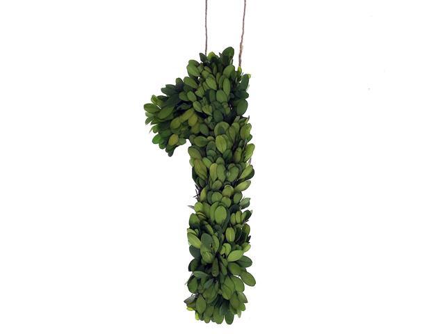 Modern Home 12' Real Preserved Boxwood Monogram Wreath Letters - 1
