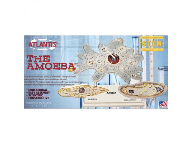 Atlantis - STEM Model Kit - The Amazing Amoeba