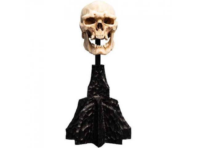 Weta Workshop Polystone The Lord of the Rings Trilogy Skull of a Mordor Orc Miniature Polystone Statue - 86-13-04599