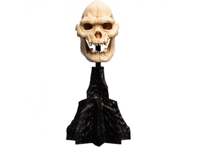 Weta Workshop Polystone The Lord of the Rings Trilogy Skull of Lurtz Polystone Statue - 86-13-04356