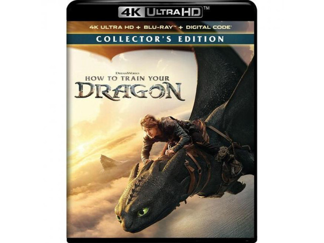 How to Train Your Dragon
