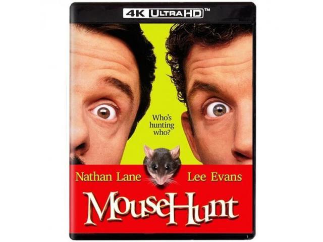 Mouse Hunt