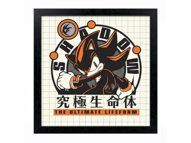 Sonic the Hedgehog - Ultimate Lifeform - 12x12 Gel-Coat Framed