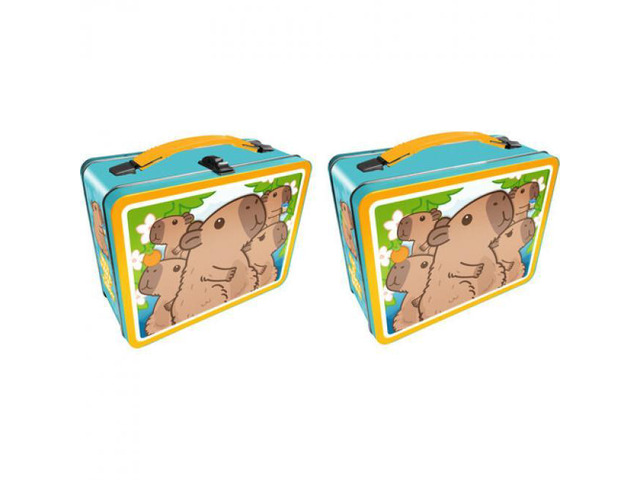 Capybara Fun Box