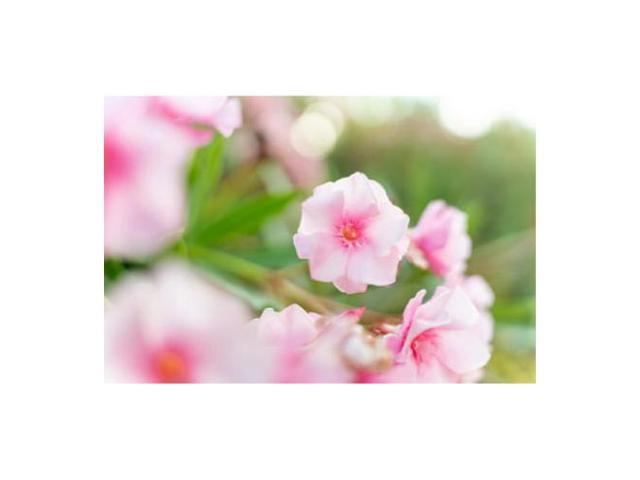 Tamron - 35-150mm F/2-2.8 Di III VXD Standard Zoom Lens for Sony Full-frame E-Mount Cameras - Black - image 10