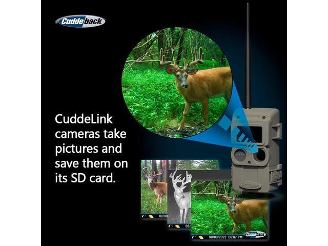 Cuddeback CuddeLink Wireless, Low-Glow Black Flash LED Camera with Cuddeback CuddeLink Cell Home