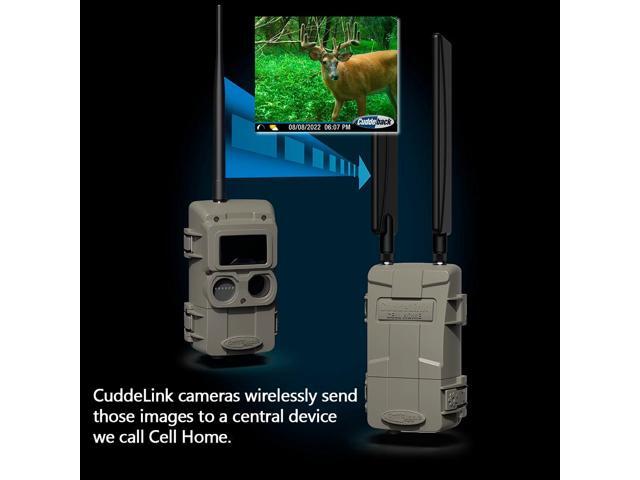 Cuddeback CuddeLink Wireless, Low-Glow Black Flash LED Camera with Cuddeback CuddeLink Cell Home