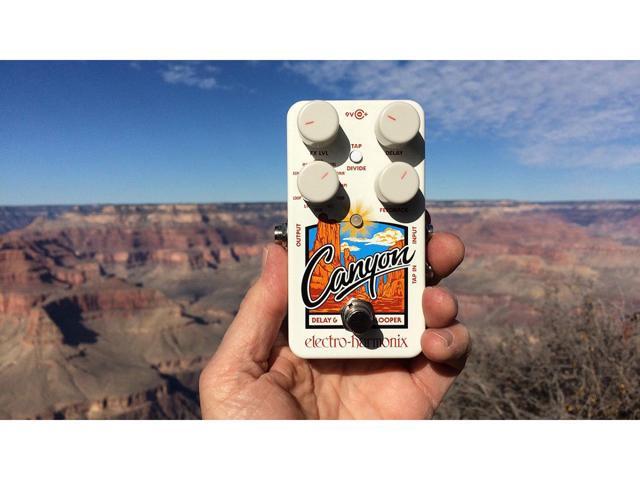 Electro Harmonix Canyon Delay and Looper Pedal