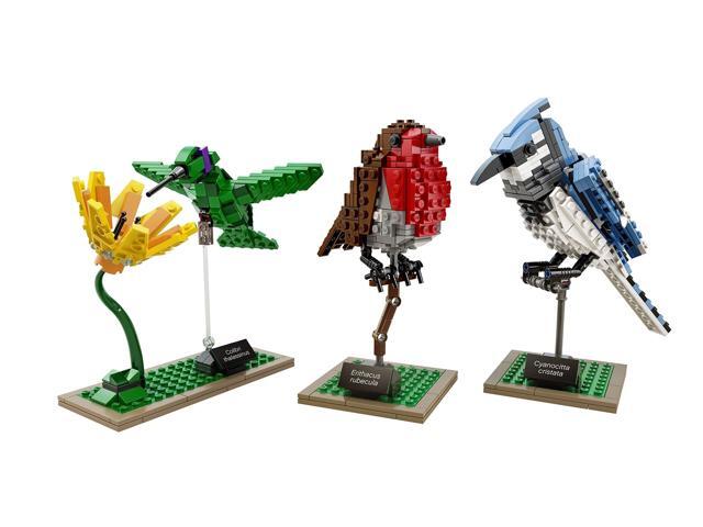 LEGO Ideas 21301 Birds Model Kit(Discontinued by manufacturer)