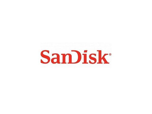 SanDisk SD8SN8U-256G-1122 X400 M.2 2280 256GB SATA III Internal SSD
