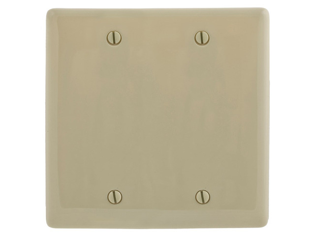 Hubbell NPJ23I Ivory Mid-Size 2-Gang Blank Nylon Box Mount Wall Plate