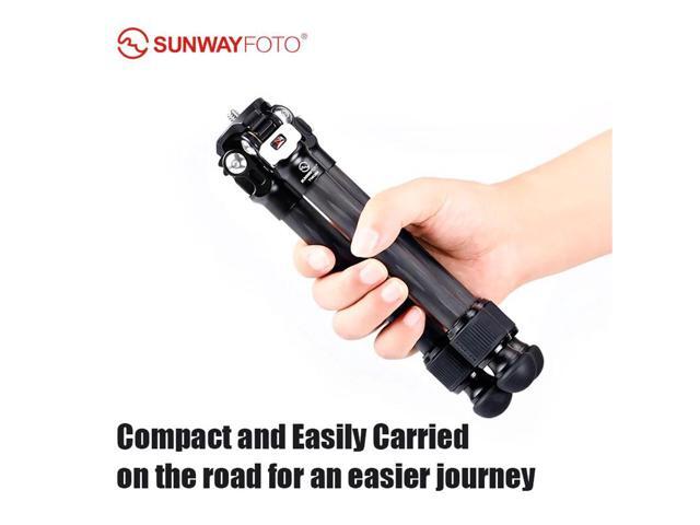 sunwayfoto t16c20n ii 2-section carbon fiber tabletop tripod