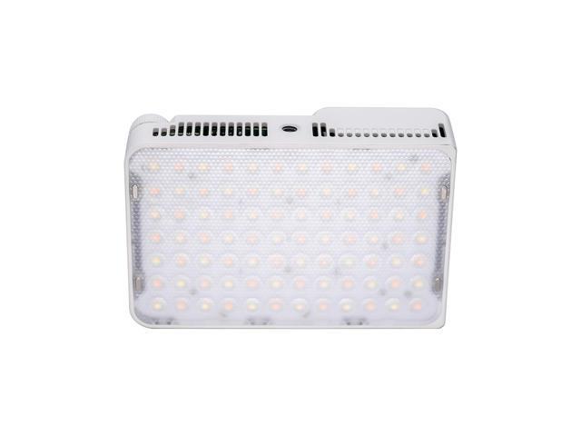 amaran Amaran Ace 25x