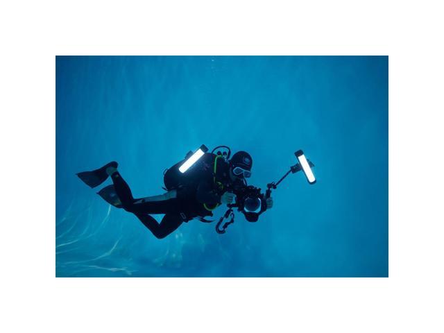 Godox Godox WT25D 24W Daylight Dive Tube Light (9.8')