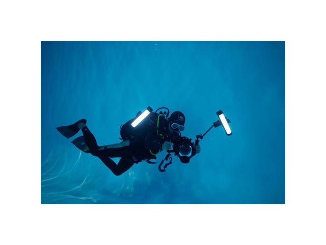 Godox WT40D 54W Daylight Dive Tube Light (15')