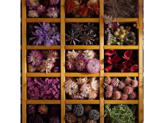 Sony - FE 28-70mm F2 G Master Lens - Black - image 9