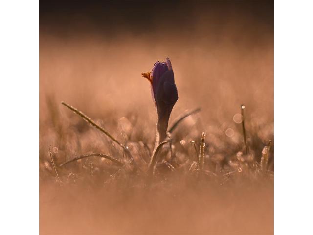 Nikon - NIKKOR Z 180-600mm f/5.6-6.3 VR Telephoto Zoom Lens for  Z Mount Cameras - Black - image 9