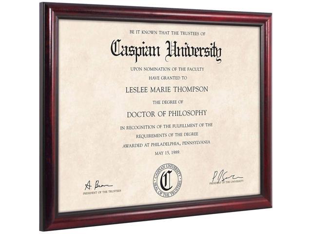 MCS Step Document Wall Frame for 8.5x11' Photograph, Elegant Mahogany