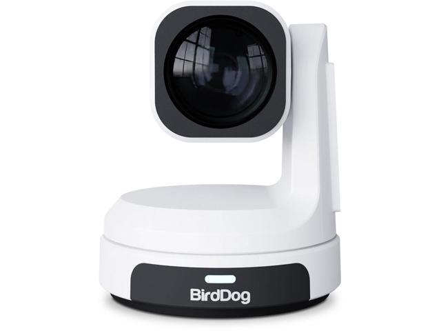 BirdDog Max 12X PTZ Camera (White)