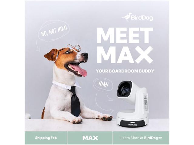 BirdDog Max 12X PTZ Camera (White)