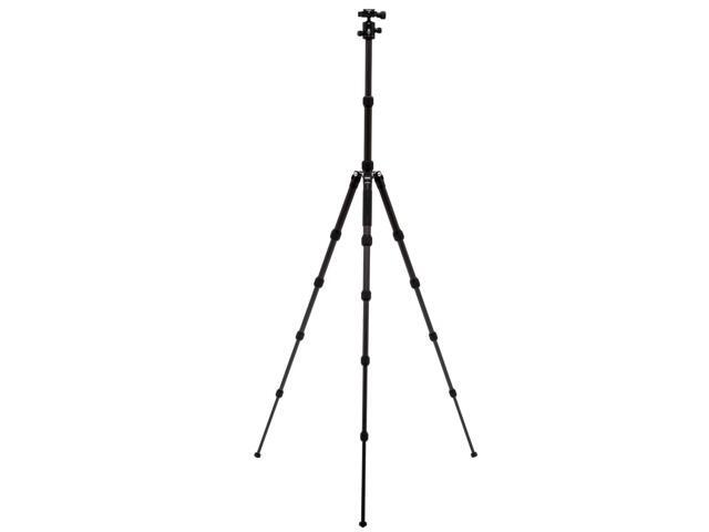Benro Tripster 1 Series 5-Section Carbon Fiber Travel Tripod/Monopod, Black