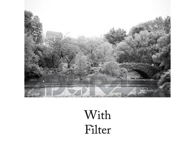 Tiffen 77mm #8 Glass Filter - Yellow #778Y2