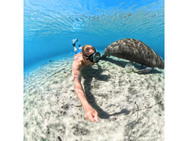 Insta360 - X5 Invisible Dive Case - Clear - image 7