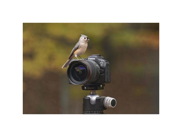 Canon - EOS R6 Mark III 7K Video Mirrorless Camera with RF24-105mm F4-7.1 IS STM  Lens - image 8