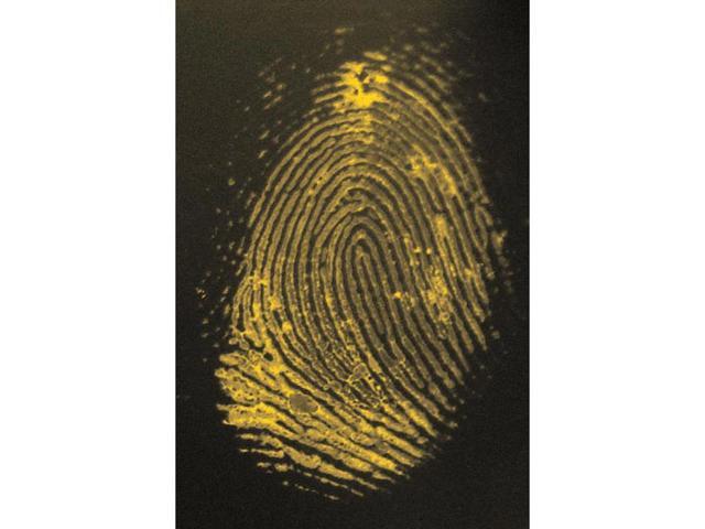 Safariland 1 2-Indanedione Fluorescent Latent Print Dye, 10g #1-2788