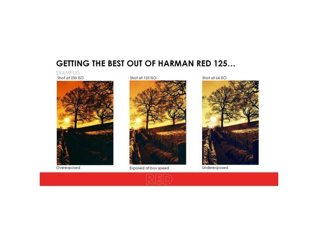 Harman RED 125 Redscale 35mm Color Negative Roll Film, 125 ISO, 36 Exposures