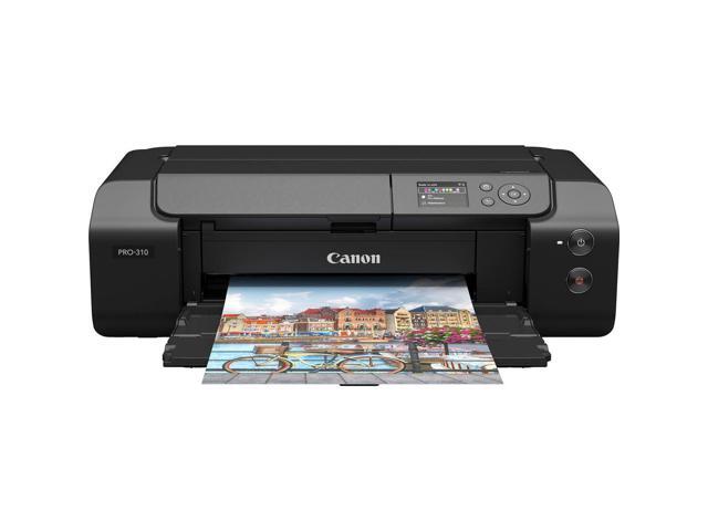 Canon imagePROGRAF PRO-310 13' Professional Wireless Inkjet Photo Printer, Bundle with Lucia PRO II PFI-5100 10-Color Pigment Ink Pack