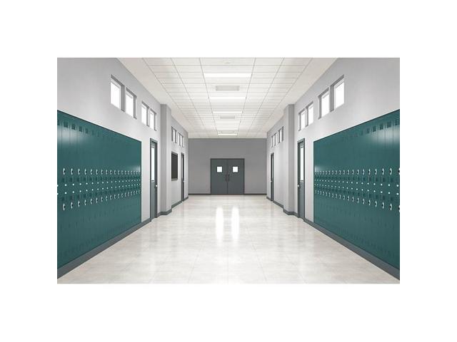 LITHONIA LIGHTING EPANL 14 40L 35K LED Flat Panel,3905 lm,Max Fixture 38.6W