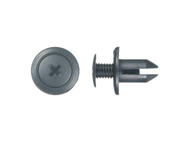 ZORO SELECT 2015PK Push-In Rivet, Dome Head, 7 mm Dia., 11 mm L, Nylon Body, 25