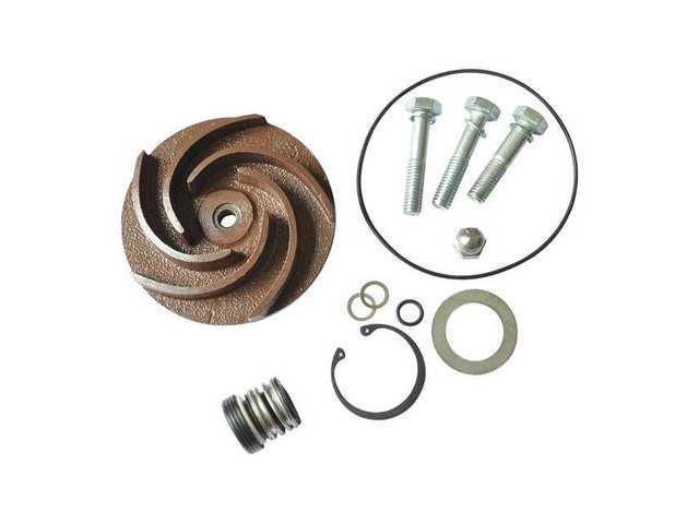 DAYTON 21TG80 Pump Repair Kit,For 2ZWX8A