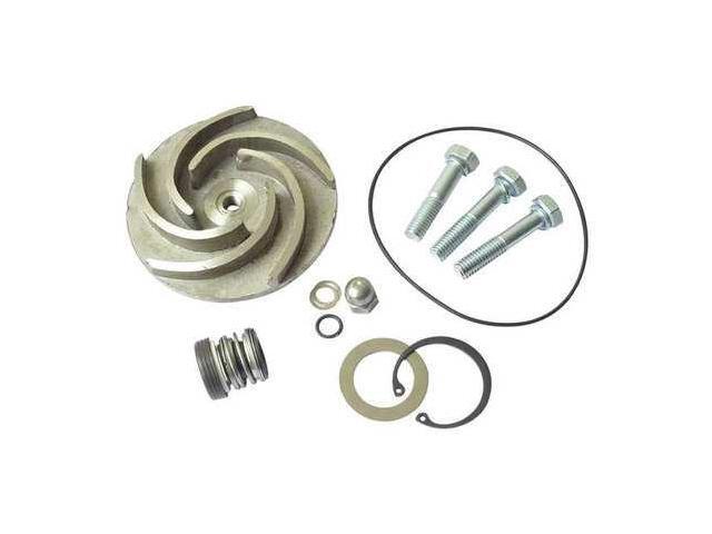 DAYTON 21TG94 Pump Repair Kit,For 2ZWZ4A