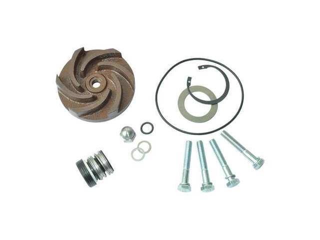 DAYTON 21TG76 Pump Repair Kit,For 2ZWX4A