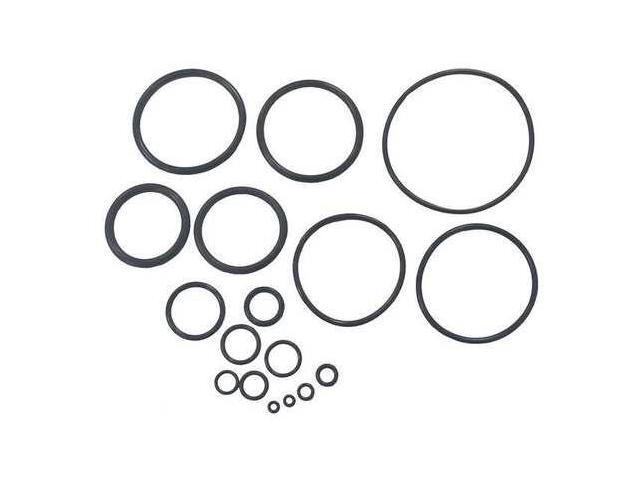 SPEEDAIRE PN31CCP25G O-ring Kit