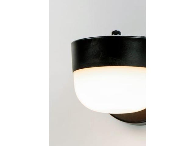MAXIM 51115FTBK Michelle 1-Light 5' Wide Black Outdoor Wall Sconce