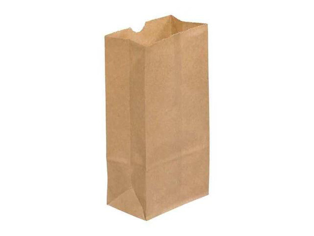 PARTNERS BRAND BGG112K Grocery Bags, 3' x 1 7/8' x 5 7/8', Kraft, 500/Case