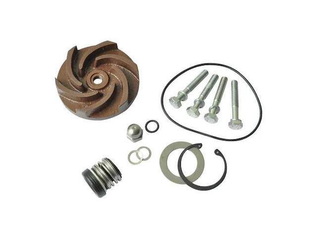 DAYTON 21TG77 Pump Repair Kit,For 2ZWX5A