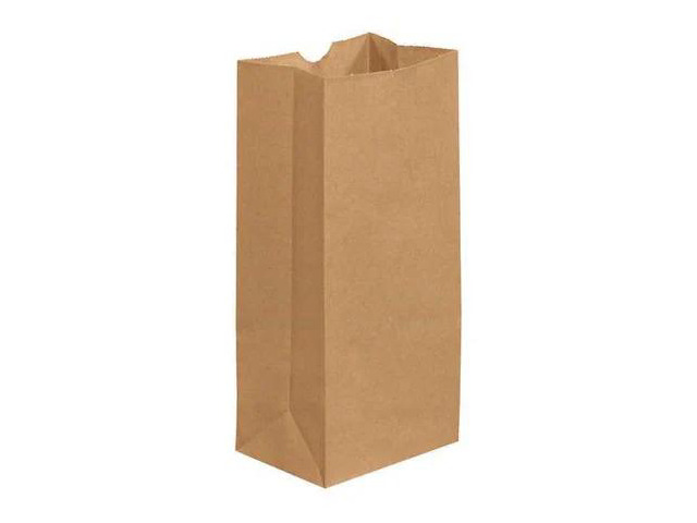 PARTNERS BRAND BGG103K Grocery Bags, 5' x 3 1/4' x 9 3/4', Kraft, PK500
