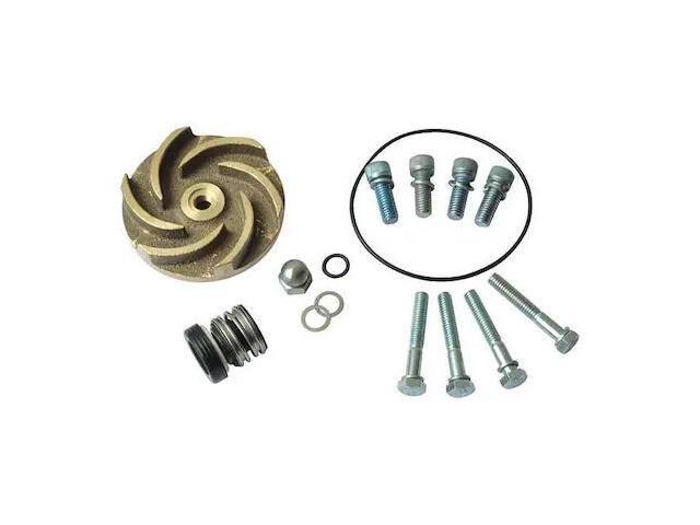 DAYTON 21TG50 Pump Repair Kit,For 2ZWR5A,2ZWR6A