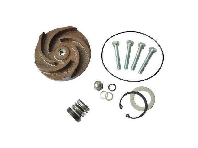 DAYTON 21TG79 Pump Repair Kit,For 2ZWX7A